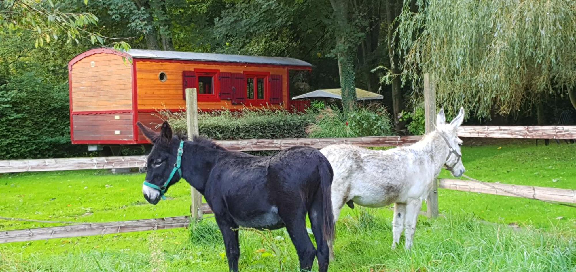 La Fermette Des Ramolleux Crécy-en-Ponthieu Quarto foto