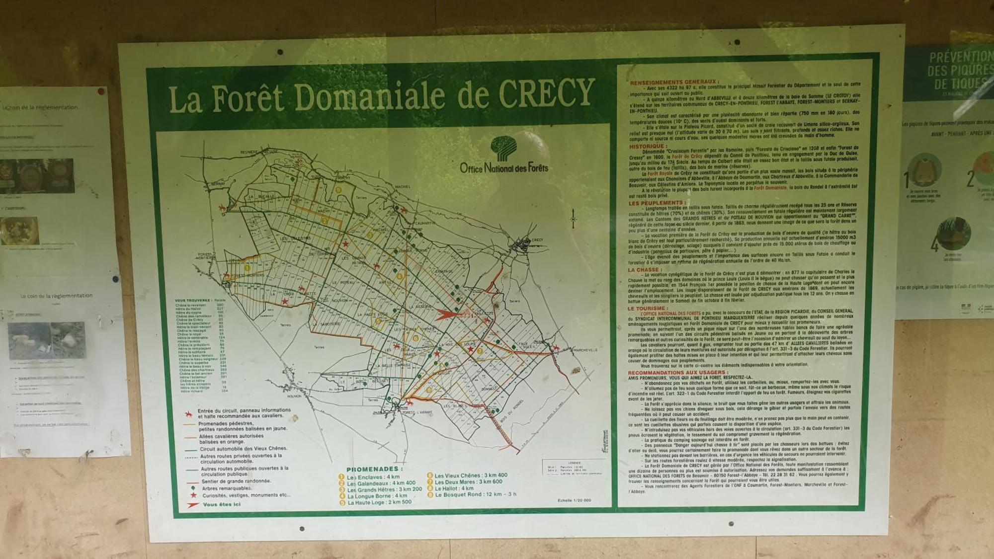 La Fermette Des Ramolleux Crécy-en-Ponthieu Quarto foto